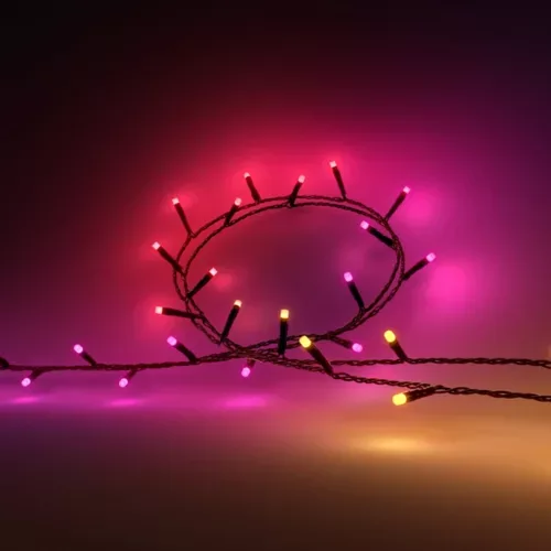 Philips Hue Festavia 250 LED / 20m exact official product image